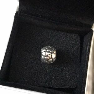Pandora Charm